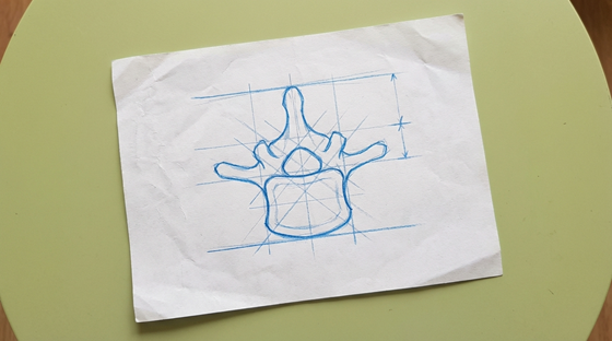 a human lumbar vertebra