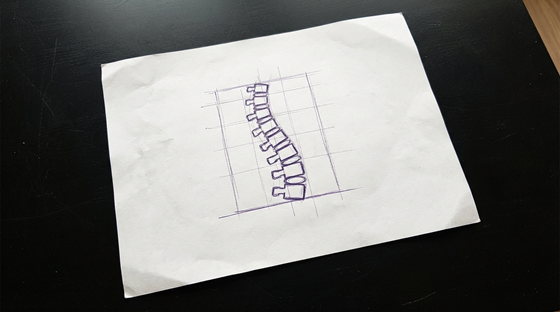 a human spinal column